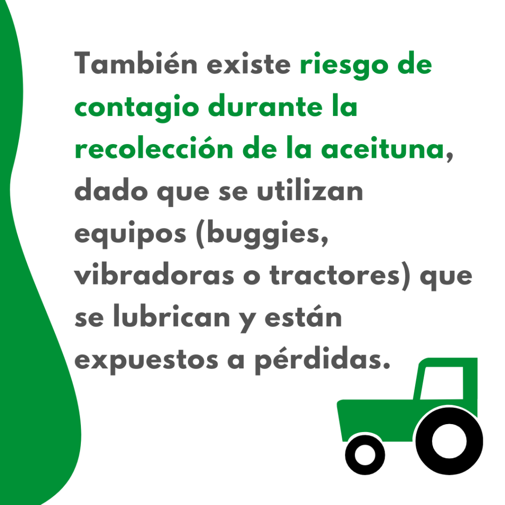 como eliminar riesgo de contaminacion del aceite de oliva