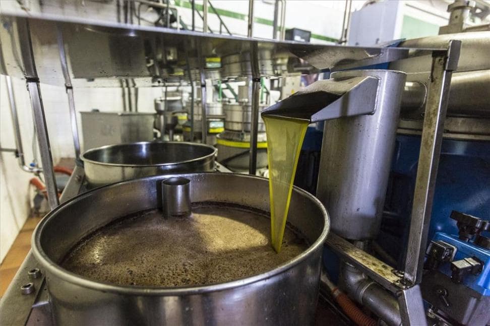 evitar la contaminación del aceite de oliva